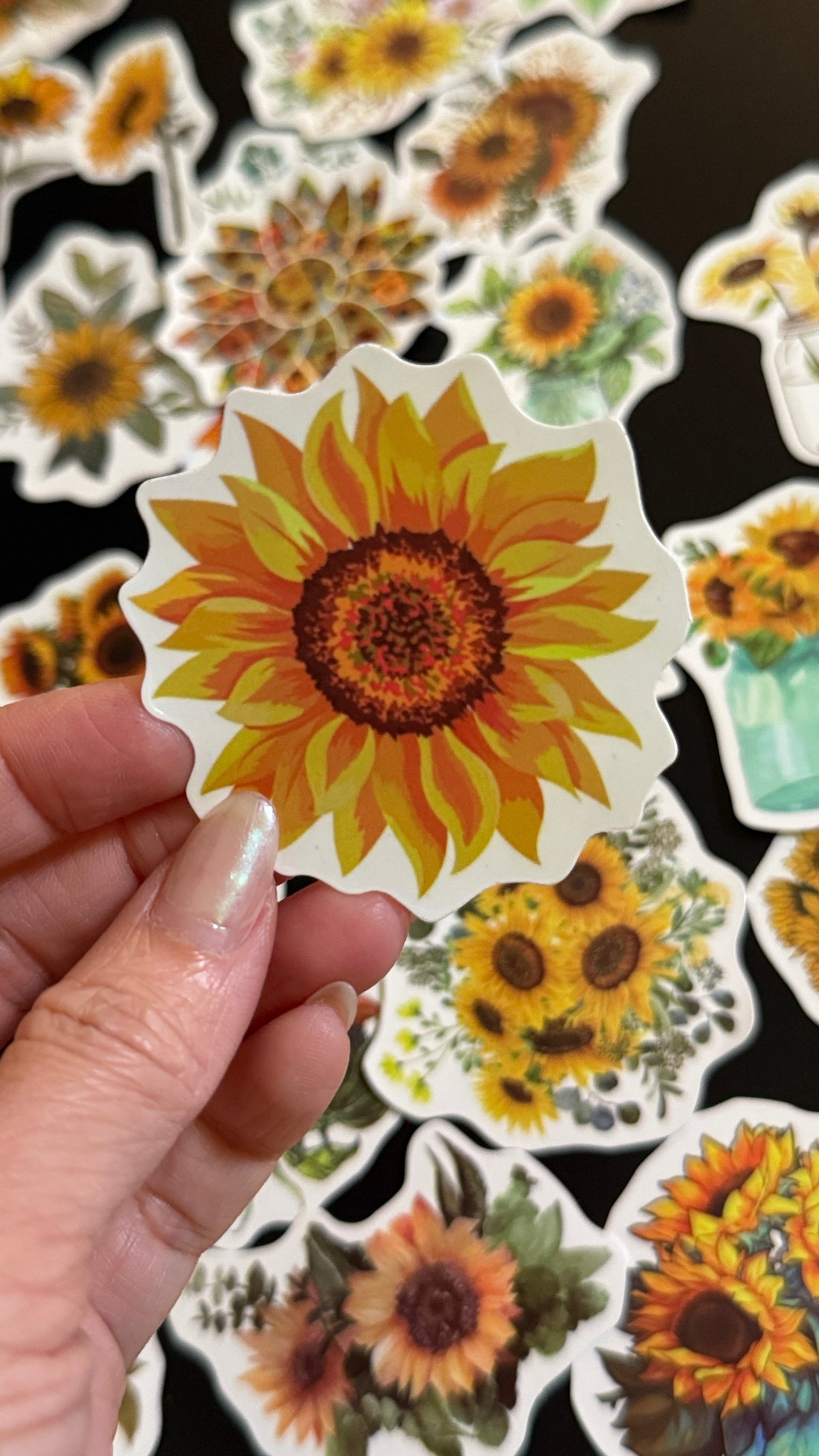 50+pcs Sunflowers