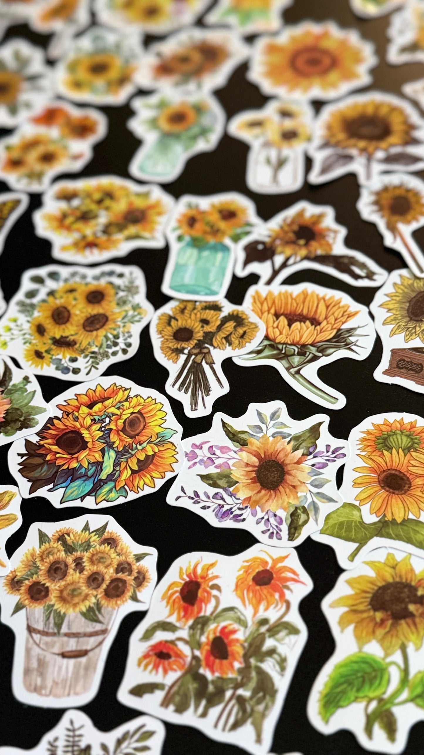 50+pcs Sunflowers