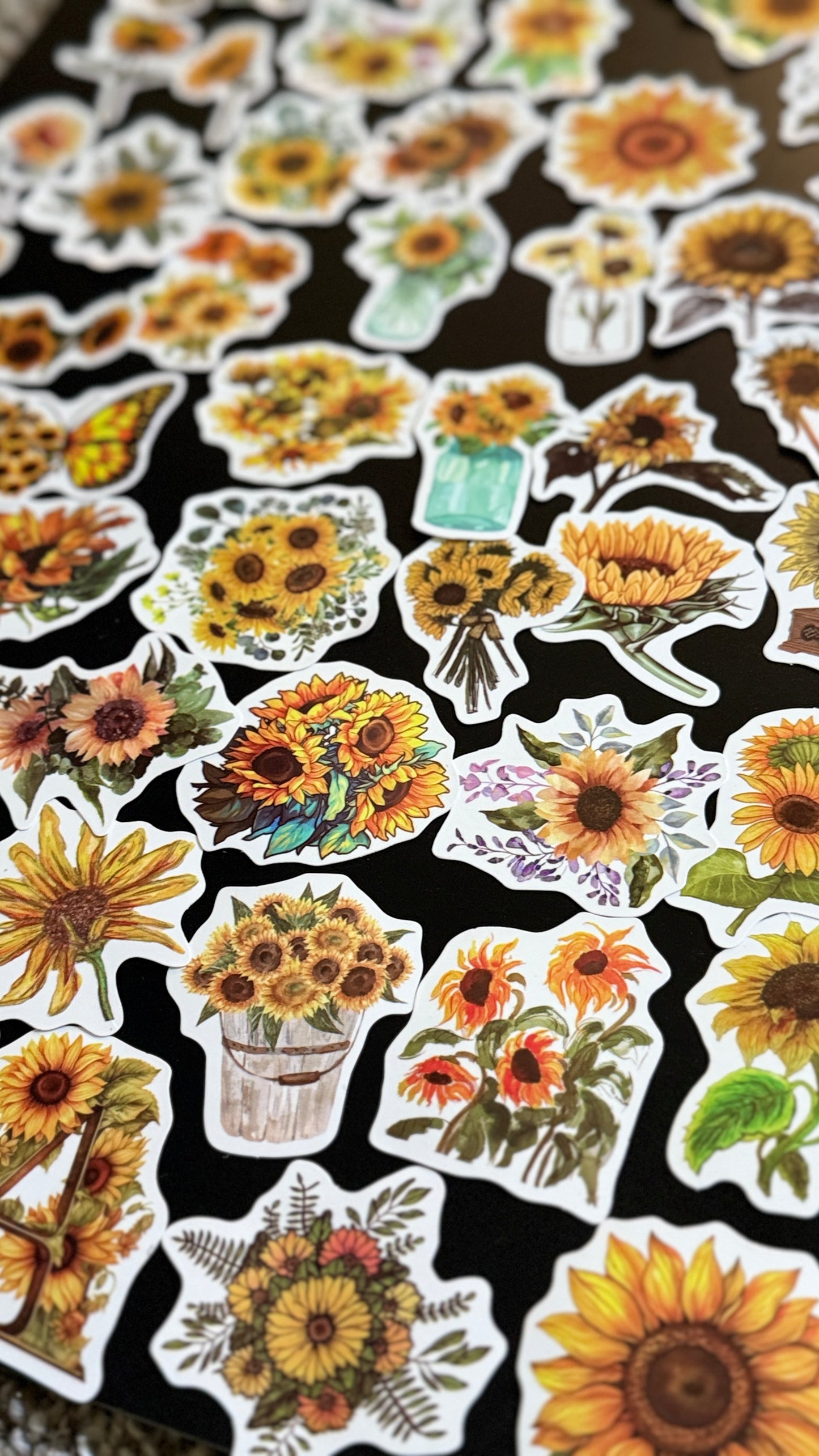 50+pcs Sunflowers