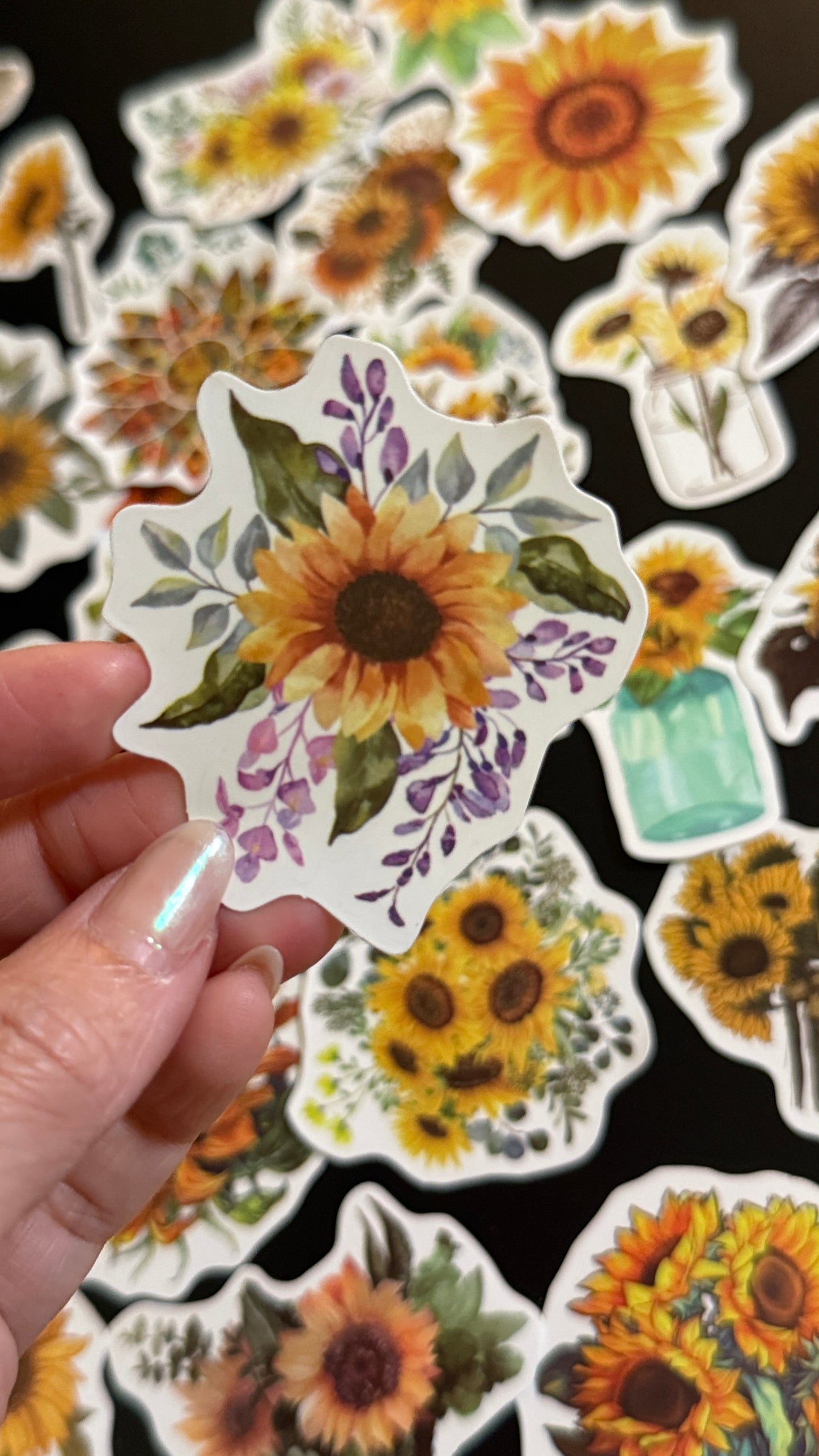 50+pcs Sunflowers