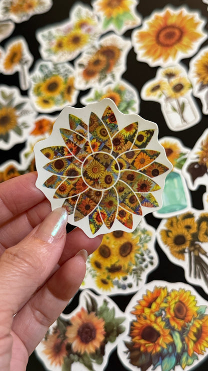 50+pcs Sunflowers