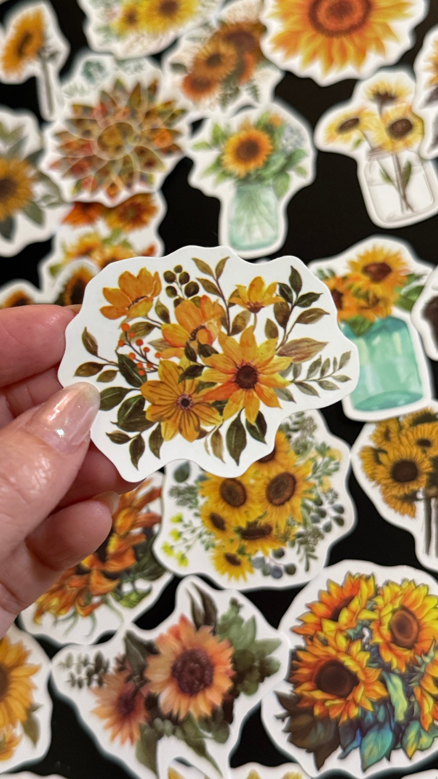 50+pcs Sunflowers