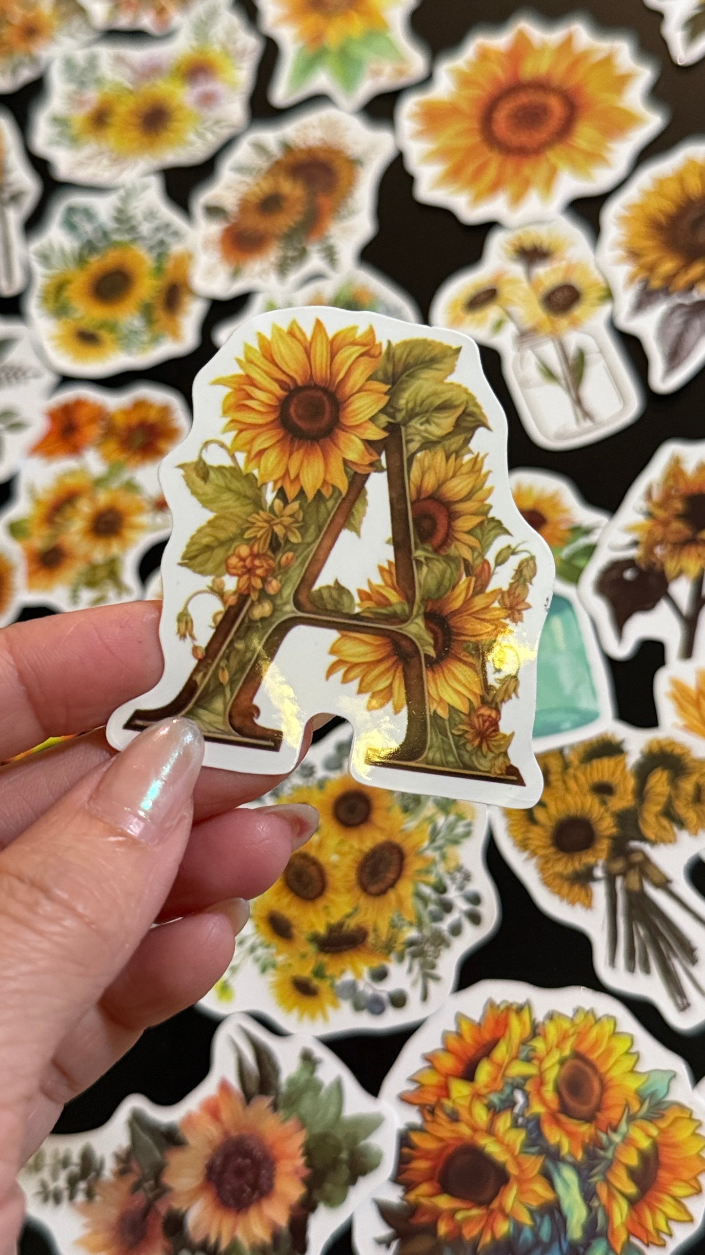 50+pcs Sunflowers